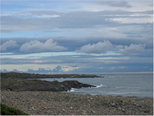 viking burial ground on larvik coast